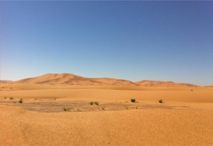 13992_payasage dune nord.jpg